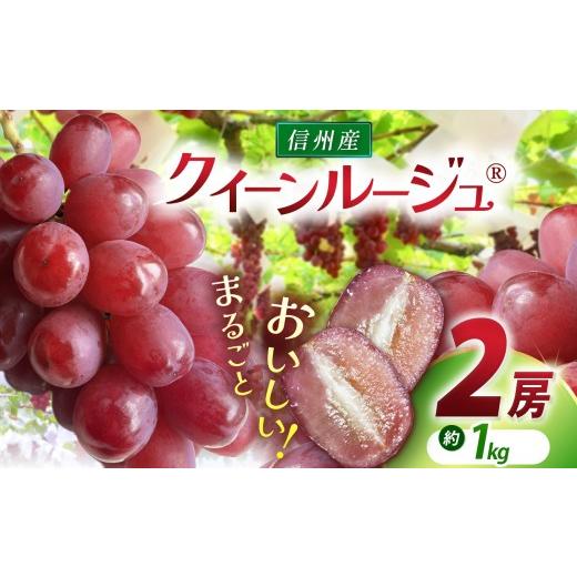 ふるさと納税 ぶどう 長野県 松本市 先行受付:9月発送 クイーンルージュ?? 2房(約1kg)|ふるさと納税 松本市 ぶどう 葡萄 クイーンルージュ? 果物 フルー…