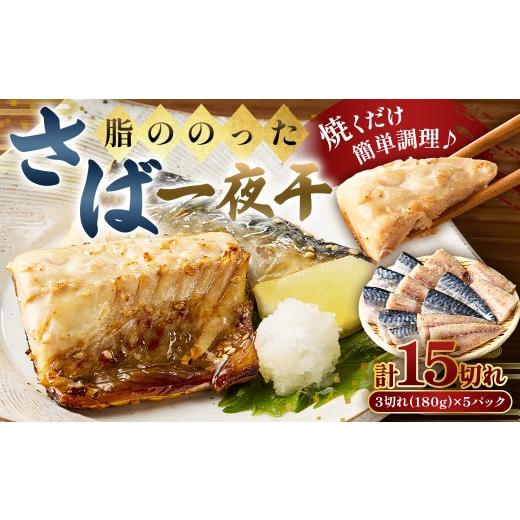 ふるさと納税 干物 サバ 千葉県 南房総市 脂ののったさば一夜干 3切れ180g×5パック mi0050-0003 鯖 サバ 干物 魚 切り身 小分け 冷凍 おかず 和食