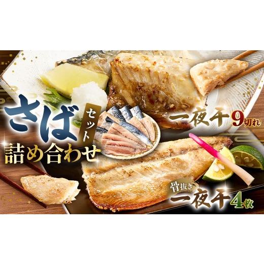 ふるさと納税 干物 サバ 千葉県 南房総市 さば詰合せセット(脂ののったさば一夜干3切180g×3パック・国産さば一夜干し(骨とり)2枚160g×2パック) mi0050-0…