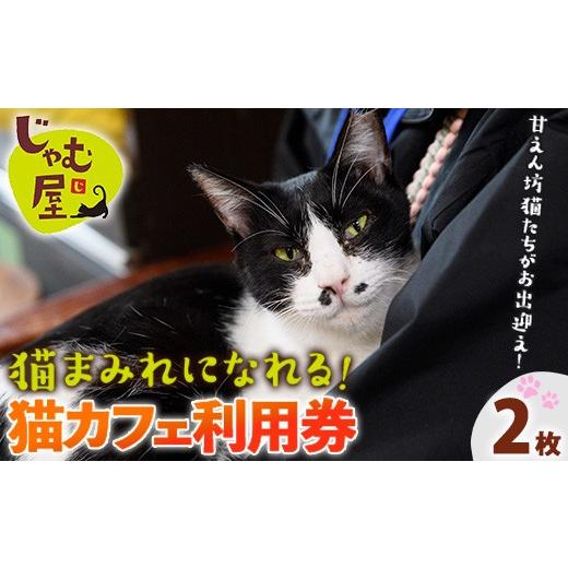 ふるさと納税 入場券・優待券 福岡県 芦屋町 猫まみれになれる猫カフェチケット(2枚) チケット 猫 カフェ 体験 ネコ ねこ 保護猫 動物 カフェ利用チケット 保…