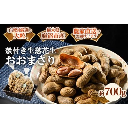 ふるさと納税 豆類 落花生 栃木県 鹿沼市 殻付き生落花生 おおまさり 約700g | らっかせい ピーナッツ おつまみ 鹿沼市 農家直送 北海道・沖縄・離島への配送…