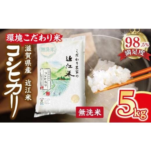 ふるさと納税 無洗米 滋賀県 近江八幡市 7年産 近江米 環境こだわり米 コシヒカリ 無洗米 5kg×1 BN14W 5kg 米 こしひかり コシヒカリ おこめ 贈り物 人気米 …
