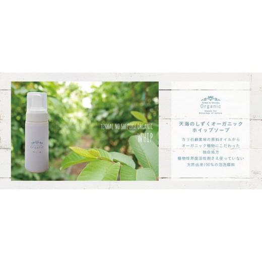 ふるさと納税 美容 高知県 南国市 3回定期便 オーガニック ホイップソープ 150ml×1本 | 泡 洗顔 ホイップ ソープ オーガニック コスメ グアバ 自家栽培 人気…