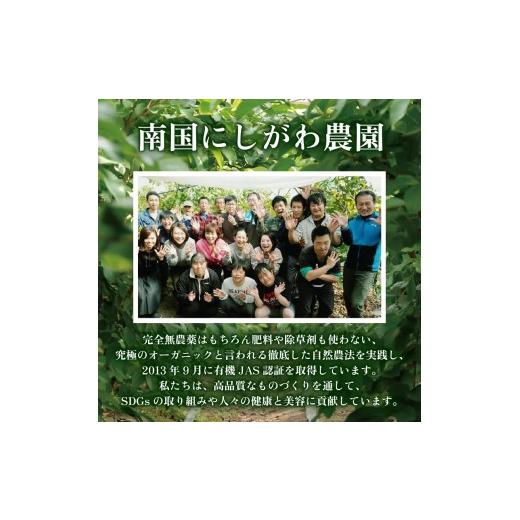 ふるさと納税 美容 高知県 南国市  12回定期便 オーガニック ホイップソープ 150ml×1本 | 泡 洗顔 ホイップ ソープ オーガニック コスメ グアバ 自家栽培 人…の画像