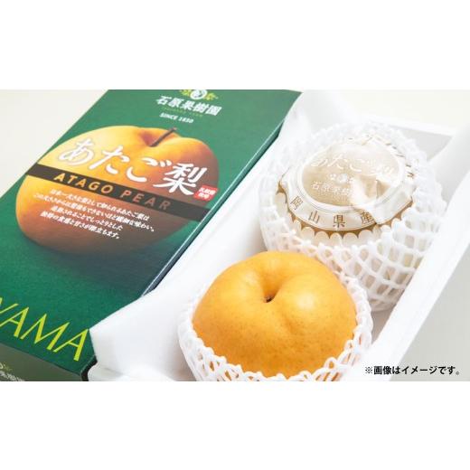 ふるさと納税 梨 岡山県 美咲町 あたご梨 約720g×2玉 計約1.44kg 化粧箱 / 愛宕梨 梨 なし ナシ 果物 2026年11月下旬〜12月下旬発送予定