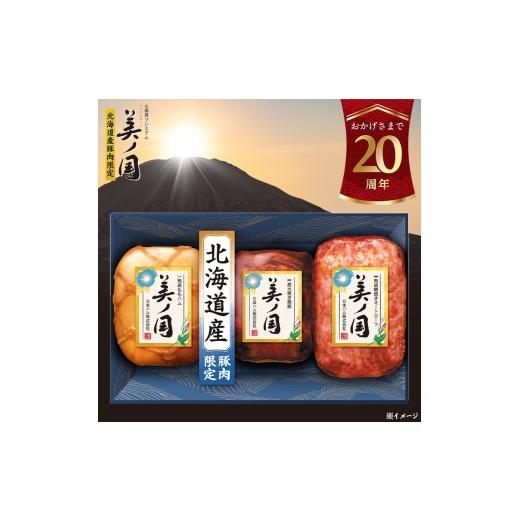 ふるさと納税 肉 徳島県 石井町 7月下旬発送分 015-105 北海道プレミアム 美ノ国 ブロック 3点セット | 日本ハム 北海道産豚肉使用 国産 熟成 贈答 ギフト …