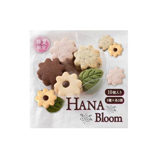 ふるさと納税 焼菓子・チョコレート クッキー 奈良県 奈良市 クッキー HANA bloom L 春夏 10個入り 米粉クッキー 米粉 グルテンフリー 5種×各2個 ギフト 洋菓…