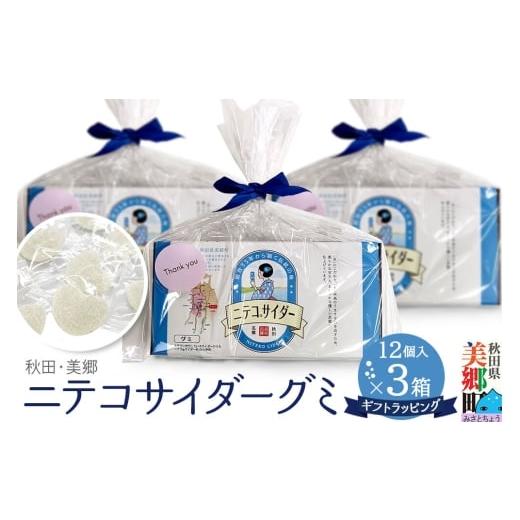 ふるさと納税 飴(あめ) 秋田県 美郷町 ニテコサイダーグミ 12個×3袋セット あきた美郷づくり ギフト 秋田県 美郷町 名水 ニテコサイダー グミ お菓子 秋田 …