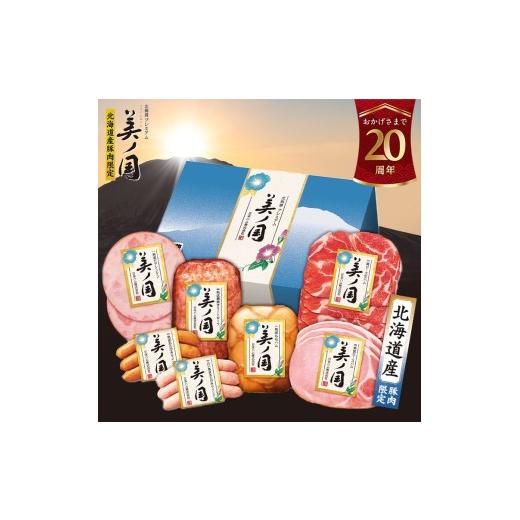 ふるさと納税 肉 徳島県 石井町 7月下旬発送分 019-101 北海道 プレミアム 美ノ国 ブロック & スライス 7点セット | 日本ハム 北海道産豚肉使用 国産 熟成 …