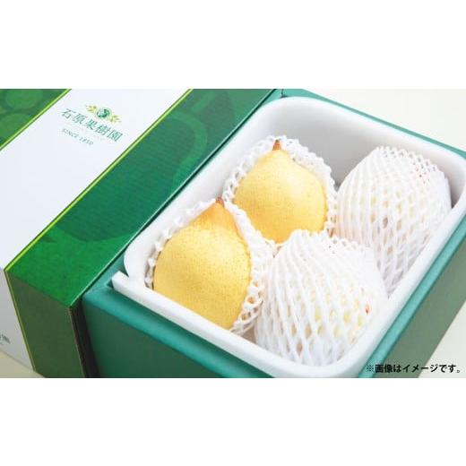 ふるさと納税 梨 岡山県 美咲町 鴨梨 (ヤーリー) 3〜6玉 約2kg 贈答箱 / 梨 なし ナシ 果物 2026年11月下旬〜12月下旬発送予定