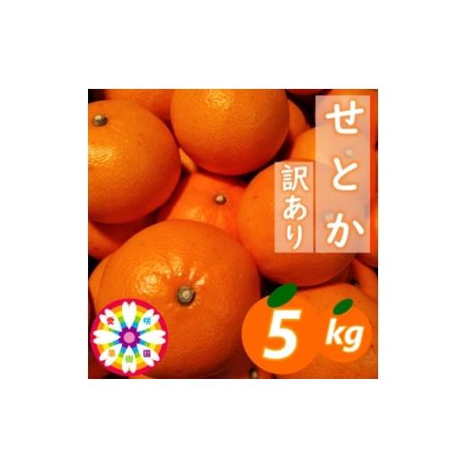 ふるさと納税 みかん・柑橘類 愛媛県 八幡浜市 3/17受付終了_愛咲果樹園「せとか」訳あり約5kg C71-38 1718253
