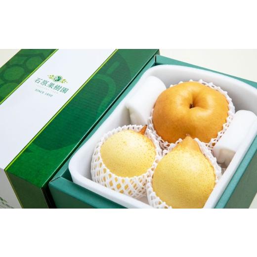 ふるさと納税 梨 岡山県 美咲町 あたご梨 1〜2玉 ・ 鴨梨 (ヤーリー) 2玉 詰合せ 合計約2kg 贈答箱 / 愛宕梨 梨 なし ナシ 果物 2026年11月下旬〜12月下旬…