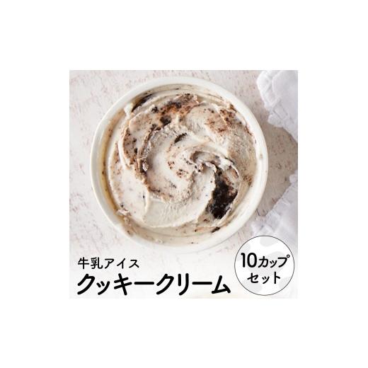 ふるさと納税 菓子 アイス 兵庫県 市川町 アイスクリーム詰め合わせ クッキークリーム(10個) 012AE05N./アイス スイーツ デザート 牛乳アイス ミルク にゅ…
