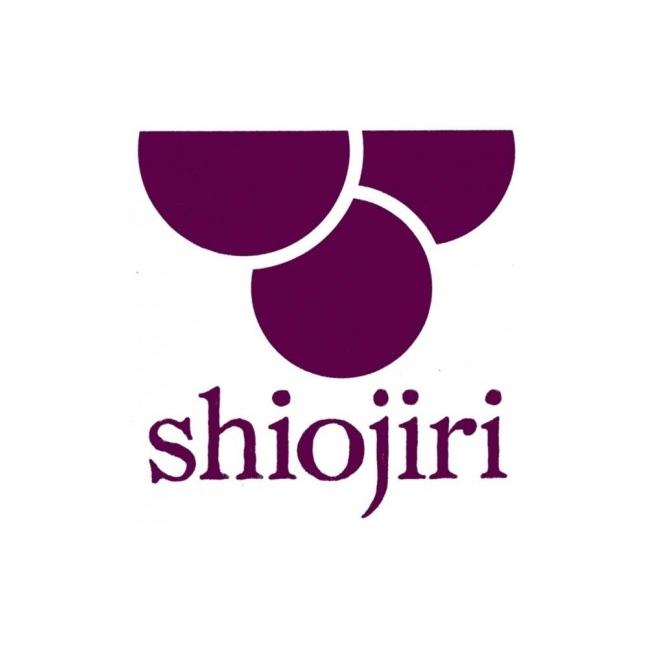 ふるさと納税 そば 乾めん 長野県 塩尻市  定期便6回 業務用干しそば 信州乾そば 40人前（200g×20袋) | 厳選 そばの実 自社製紛 低温 熟成乾燥 風味 香り こ…の画像