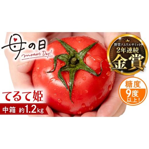 ふるさと納税 野菜類 トマト 茨城県 桜川市 母の日専用 スーパーフルーツトマト てるて姫 中箱 約1.2kg ×1箱 糖度9度以上 [5月4日〜10日お届け メッセージ…