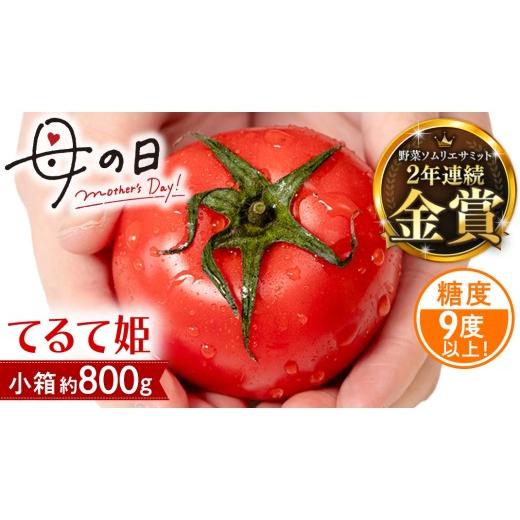ふるさと納税 野菜類 トマト 茨城県 桜川市 母の日専用 スーパーフルーツトマト てるて姫 小箱 約800g ×1箱 糖度9度以上 [5月4日〜10日お届け メッセージカ…