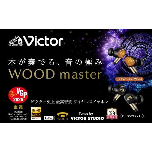 ふるさと納税 TV・オーディオ・カメラ 神奈川県 横浜市  ピアノブラック Victor ワイヤレスイヤホン HA-FW5000T ピアノブラックの画像