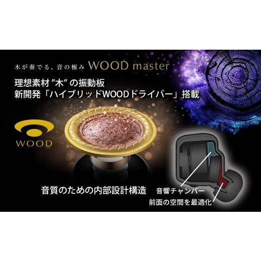 ふるさと納税 TV・オーディオ・カメラ 神奈川県 横浜市  ピアノブラック Victor ワイヤレスイヤホン HA-FW5000T ピアノブラックの画像