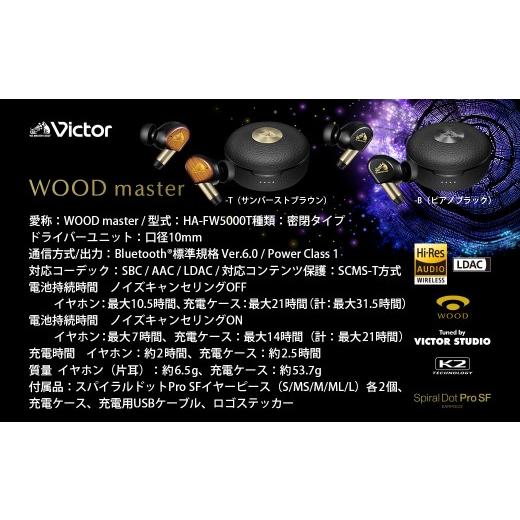 ふるさと納税 TV・オーディオ・カメラ 神奈川県 横浜市  ピアノブラック Victor ワイヤレスイヤホン HA-FW5000T ピアノブラックの画像