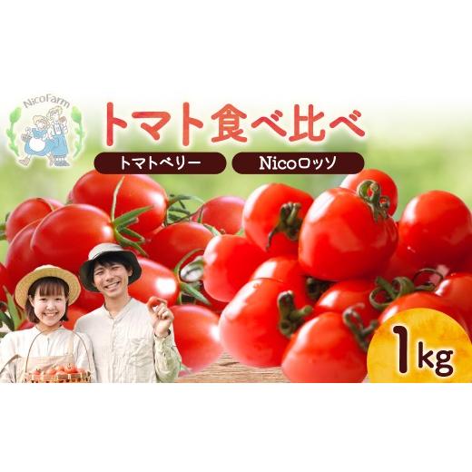 ふるさと納税 トマト ミニトマト 北海道 余市町 先行予約2026年7月 子供も大好き フルーツのように甘いミニトマト2種 各500g トマトベリー &amp; Nicoロッソ …
