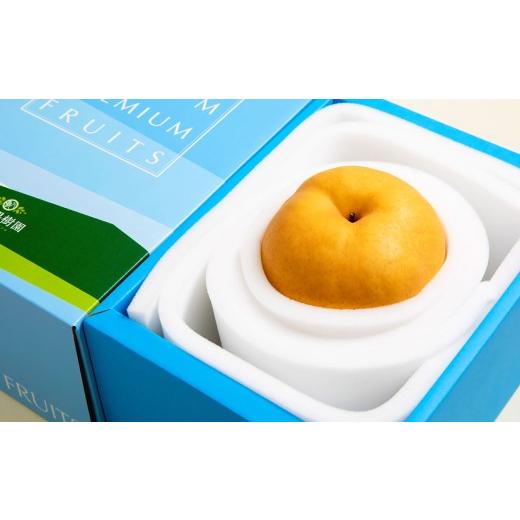 ふるさと納税 梨 岡山県 美咲町 備前横綱梨 (あたご梨) 超大玉 1玉 約1kg〜1.4kg 贈答箱 / 愛宕梨 梨 なし ナシ 果物 2026年11月下旬〜12月下旬発送予定