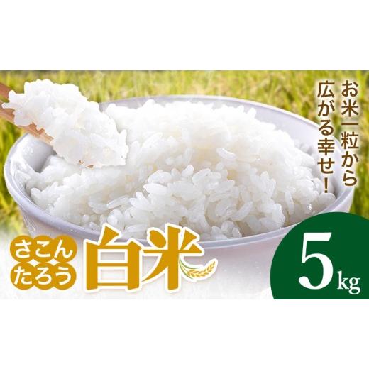 ふるさと納税 米 熊本県 御船町 白米 5kg さこんたろう[90日以内に発送予定(土日祝除く)]熊本県 御船町 コメ おこめ 白米 ごはん 熊本県産 5kg