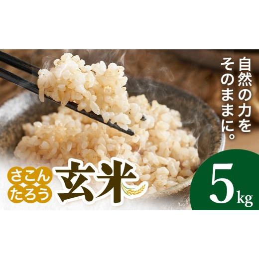 ふるさと納税 玄米 熊本県 御船町 玄米 5kg さこんたろう[90日以内に発送予定(土日祝除く)]熊本県 御船町 コメ おこめ ごはん 熊本県産 5kg