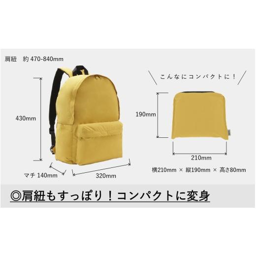 ふるさと納税 カバン リュック 石川県 かほく市 TO&FRO 超軽量 撥水機能付きバックパック BACKPACK -STANDARD- マゼンダ マゼンダ_9
