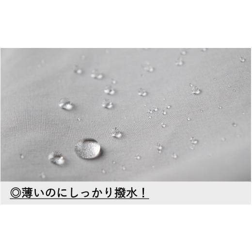 ふるさと納税 カバン 石川県 かほく市  TO&FRO 軽くて大容量な超機能的ボストンバッグ BOSTON BAG MINIサイズ・ブルーグリーン ブルーグリーンの画像