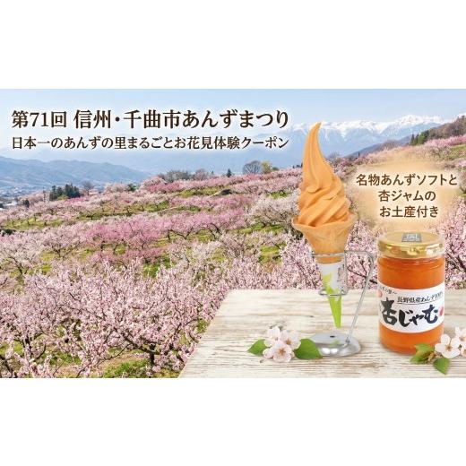 ふるさと納税 体験チケット 長野県 千曲市 日本一のあんずの里まるごとお花見体験クーポン(名物杏ソフトと杏ジャムのお土産付き)|お花見 あんずソフト あん…
