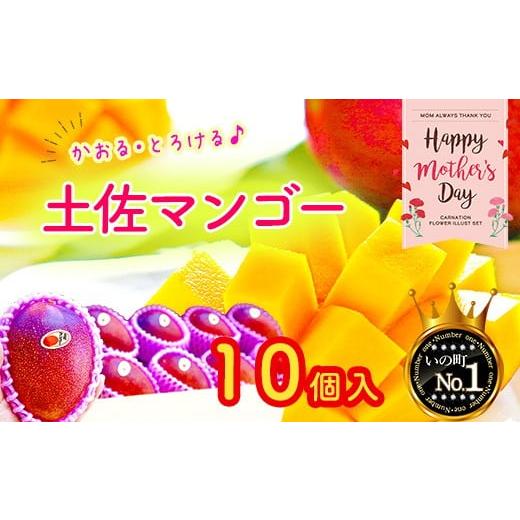 ふるさと納税 マンゴー 高知県 いの町 母の日お届け かおる・とろける 土佐マンゴー10個