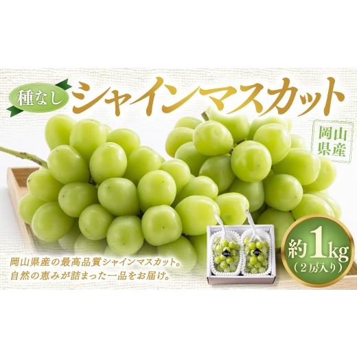 ふるさと納税 ぶどう マスカット 岡山県 美咲町 種なし 岡山県産 シャインマスカット 計約1kg箱 2房入り マスカット ぶどう ブドウ 葡萄 フルーツ 種無し 202…