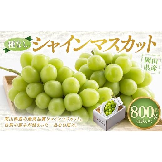 ふるさと納税 ぶどう マスカット 岡山県 美咲町 種なし 岡山県産 シャインマスカット 1房箱 計約800g マスカット ぶどう ブドウ 葡萄 フルーツ 種無し 2026年…