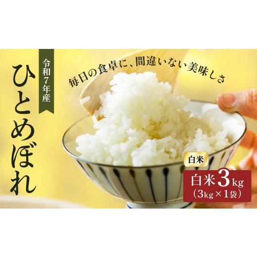 ふるさと納税 米 ひとめぼれ 宮城県 大河原町 令和7年産 精米 ひとめぼれ 3kg 宮城県大河原町産 米 お米 白米 こめ コメ 令和7年 宮城県産