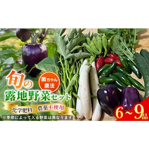 ふるさと納税 セット・詰合せ 愛知県 刈谷市 露地野菜 セット 6〜9品 菌ちゃん農法 旬 化学肥料・農薬不使用 / 野菜セット 旬野菜セット 無農薬野菜 野菜詰め…