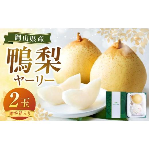 ふるさと納税 梨 岡山県 美咲町 鴨梨(ヤーリー)2玉 贈答箱 梨 ナシ なし 2026年11月下旬〜12月下旬発送予定