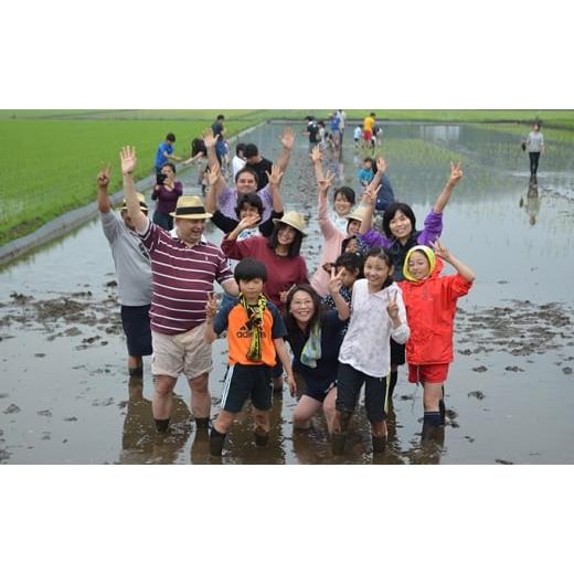 ふるさと納税 体験チケット 千葉県 九十九里町 田植え体験・稲刈り体験パック型コース 田植え 稲刈り 田んぼ 体験 チケット 体験チケット 新米 農業 九十九里…
