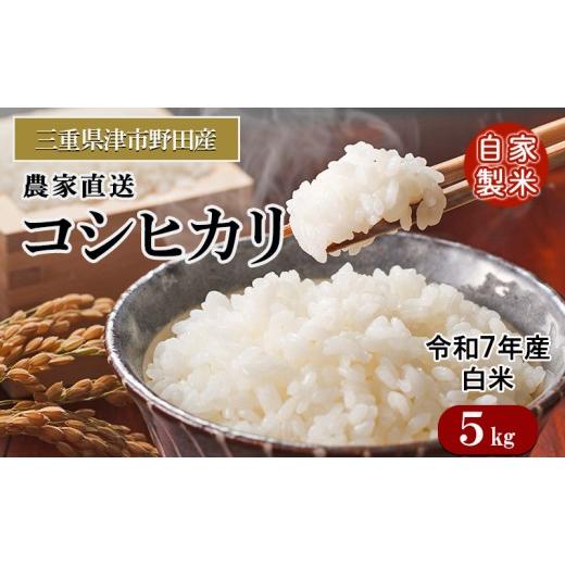 ふるさと納税 米 コシヒカリ 三重県 津市 三重県津市産 コシヒカリ 5kg | 精米 白米 ご飯 津市 三重県
