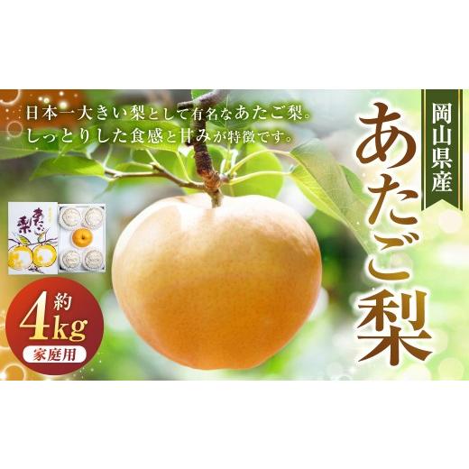 ふるさと納税 梨 岡山県 美咲町 あたご梨 3〜9玉 合計約4kg ご家庭用 梨 ナシ なし 愛宕梨 あたごなし ジャンボ梨 2026年11月下旬〜12月下旬発送予定