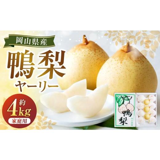 ふるさと納税 梨 岡山県 美咲町 鴨梨(ヤーリー) 6〜13玉 合計約4kg ご家庭用 梨 ナシ なし 2026年11月下旬〜12月下旬発送予定