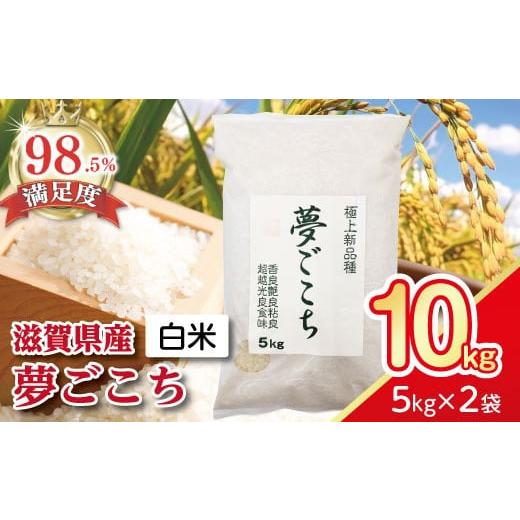 ふるさと納税 米 滋賀県 近江八幡市 7年産 近江米夢ごこち 5kg×2袋 T035W2 夢ごこち 白米 10kg(5kg×2袋)
