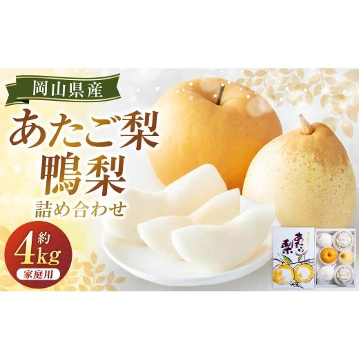 ふるさと納税 梨 岡山県 美咲町 あたご梨 2〜3玉・鴨梨(ヤーリー) 3〜7玉 詰合せ 合計約4kg ご家庭用 梨 ナシ なし 愛宕梨 あたごなし ジャンボ梨 2026年11…