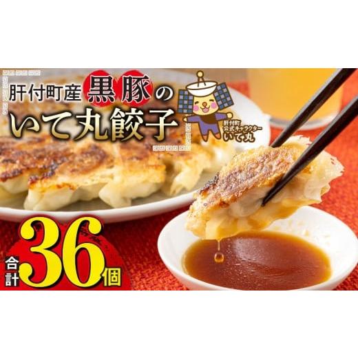 ふるさと納税 餃子 鹿児島県 肝付町 P43009 鹿児島県 肝付町産 黒豚 餃子 ギョーザ(計36個・12個入 3パック) ぎょうざ たれ付き パリパリ もちもち ジューシー…