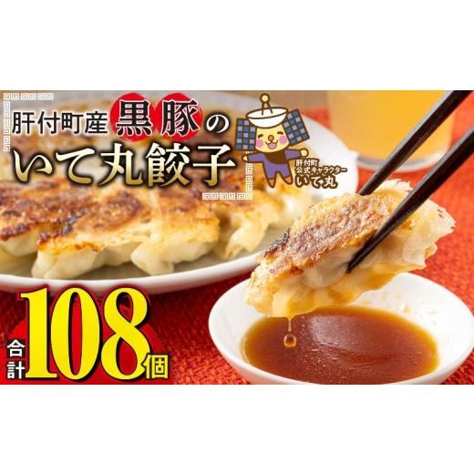 ふるさと納税 餃子 鹿児島県 肝付町 A43089 鹿児島県 肝付町産 黒豚 餃子 ギョーザ(計108個・12個入 9パック) ぎょうざ たれ付き パリパリ もちもち ジューシ…