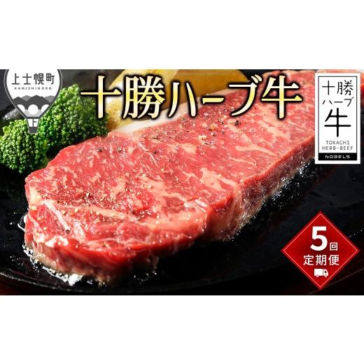 ふるさと納税 牛肉 サーロイン 北海道 上士幌町 十勝ハーブ牛 定期便 5回 5ヵ月コース ステーキ コンビーフ 焼肉 ローストビーフ ホルモン 国産 北海道 牛 肉 …