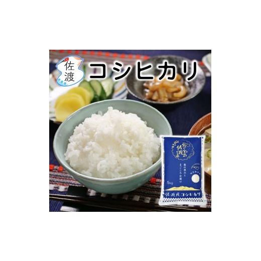 ふるさと納税 米 コシヒカリ 新潟県 佐渡市 佐渡島産コシヒカリ 無洗米5kg(5kg×1袋) 農薬・化学肥料5割減 食の宝島佐渡