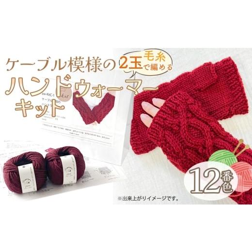 ふるさと納税 手芸 愛知県 江南市 毛糸 2玉で編めるケーブル模様のハンドウォーマーキット 12番色 / 編み物キット ハンドウォーマー ウルグアイウール 並太 …