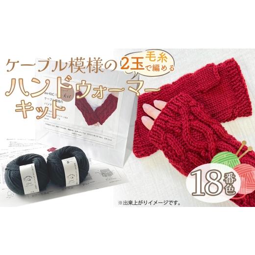 ふるさと納税 手芸 愛知県 江南市 毛糸 2玉で編めるケーブル模様のハンドウォーマーキット 18番色 / 編み物キット ハンドウォーマー ウルグアイウール 並太 …