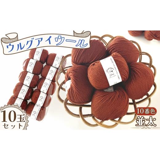 ふるさと納税 手芸 愛知県 江南市 毛糸 ウルグアイウール並太 10番色 10玉セット / ウール100% 並太毛糸 手編み 編み物 ハンドメイド 冬小物 マフラー 帽子 …
