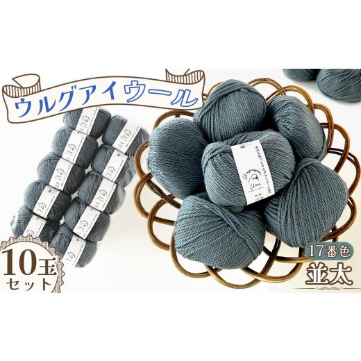 ふるさと納税 手芸 愛知県 江南市 毛糸 ウルグアイウール並太 17番色 10玉セット / ウール100% 並太毛糸 手編み 編み物 ハンドメイド 冬小物 マフラー 帽子 …